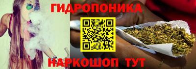 гидропоника Можга