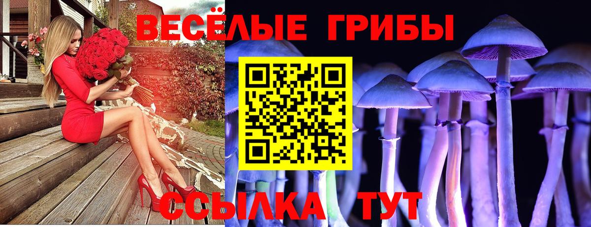 Галлюциногенные грибы мухоморы  Псилоцибиновые грибы мицелий  Сосновоборск  Вход с VPN 